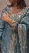 Regular Salsa Anarkali
